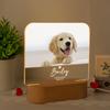 Custom Name Acrylic Sympathy Gift Pet Photo Memorial Frame Personalized Dog Picture Christmas Gift For Pet Lovers