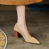 Fashion 2025 Spring Women Shoes Pointed Toe Chunky Heel Women Pumps Sheep Suede High Heels Belt Buckle Shoes for Women zapatos de mujer