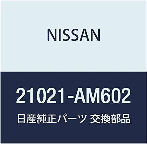 

Nissan 21021-AM602 Water Pipe
