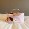 "Fashion Spring Breeze Stroll Tote Bag, Hand-held Small Bag, Versatile Single-shoulder Crossbody Bag.