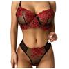 Women's Sexy Lace Bra and Panty Set, Sheer Mesh Floral Embroidery Lingerie, Two-Piece Underwear