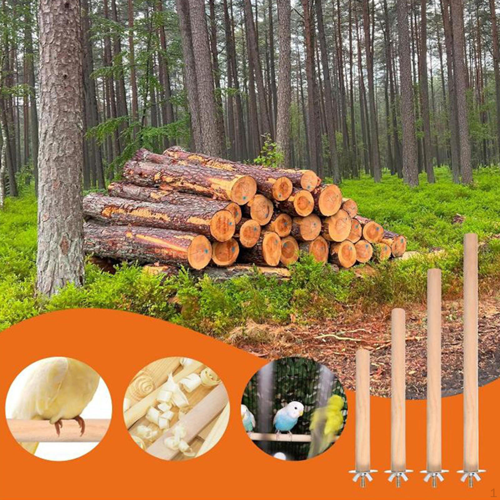 

Bird Perch Rest Rod Cage Accessory Decoration Parrot Stand Resting Station for Budgies 10cm