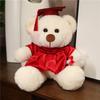 New Graduation Gift: Dr. Bear Plush Toy, Small Bear Doll, Plush Toy, Academic Gown Teddy Bear Doll
