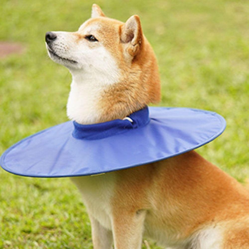 Oxford Cloth Pet Neck Cone Adjustable Cat Cone Elizabethan Collar Pet Recovery Collars  Cats