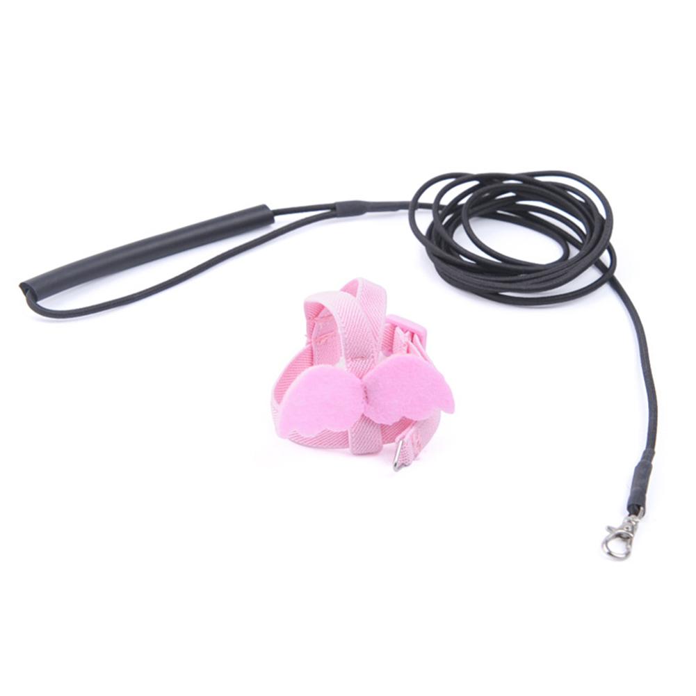 Parrot Harness Leash Ultra-light Adjustable Outdoor Flying Training Rope Bird Accessories