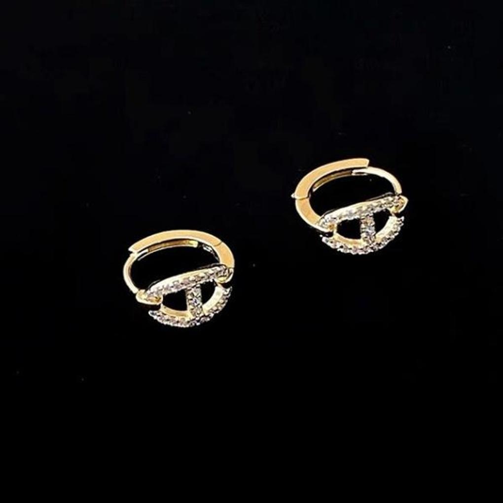 Women's Daily Pig Like Moment Hoop Earrings