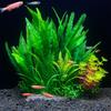 Fish Tank Landscapings Simulation Aquatic Plant Aquarium Decoration Plant Artificial Flowers Ornaments Pet Supplies