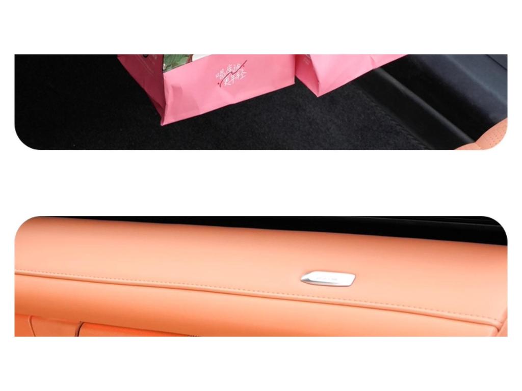 Glove Box Hook for Shenlan SL03/S07/L07 Cars - Interior Storage & Decoration