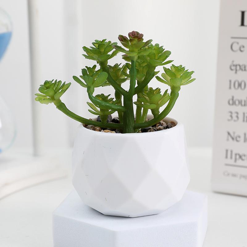 Diamond Succulent Set: Desktop Potted Ornament Decor