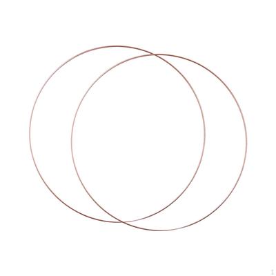 2 Pieces Metal Floral Hoops for DIY Projects And Wall Hangings