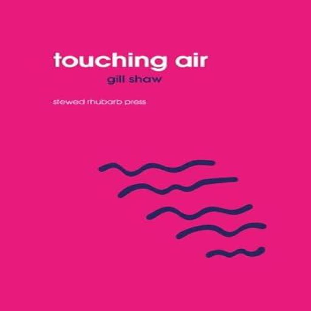 Touching Air by Gill Shaw Paperback Book 9781910416273
