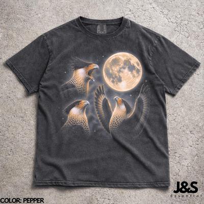 Three Crested Caracara Moon Shirt, Crested Caracara Graphic Tee, Vintage Falcon Bird Shirt, Wildlife Nature Top, Comfort Colors®