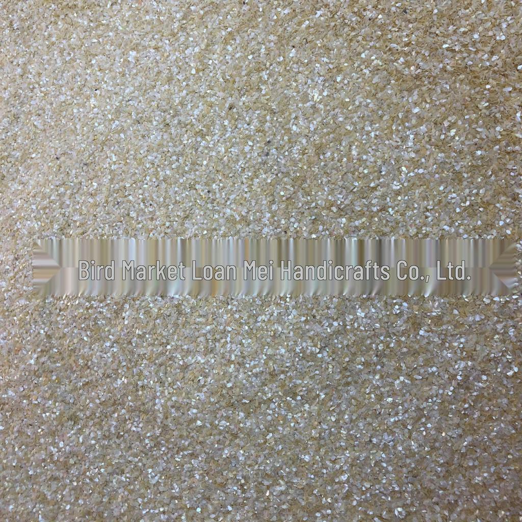 Fine Iridescent Glitter Crushed Shell Nail Art Beads for DIY Press-On Nails