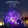 Bluetooth Light String Mobile Phone APP Copper Wire Light USB Bluetooth String Lights