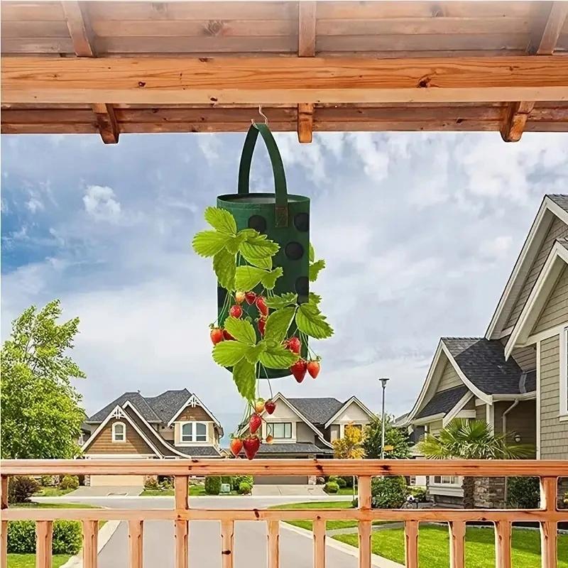 Hanging Pot Bag Chicken Tomatoes Strawberries Strawberries Pockets 35