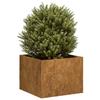VidaXL Rusty Planter 40x40x30 Cm Stainless Steel, Flower Pot, Plant Stand, Raised Bed, Stand of 860800