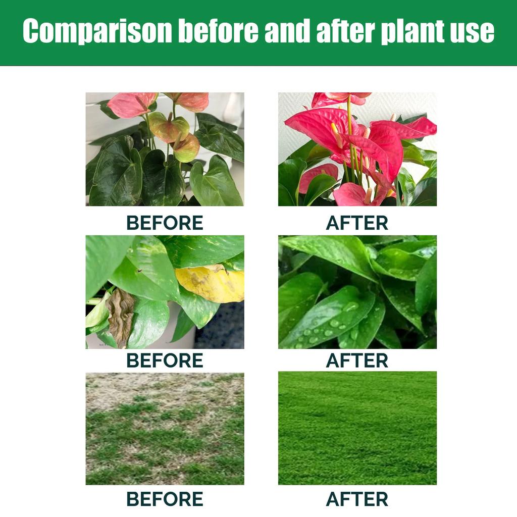 Universal Indoor Potted Plant Fertilizer Slow Release Organic Nutrient with Nitrogen And Phosphorus for Flowering Succulents
