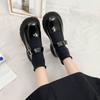 High heels women's autumn 2025 new round head thick heel versatile retro Japanese small leather shoes black Mary Jane shoes