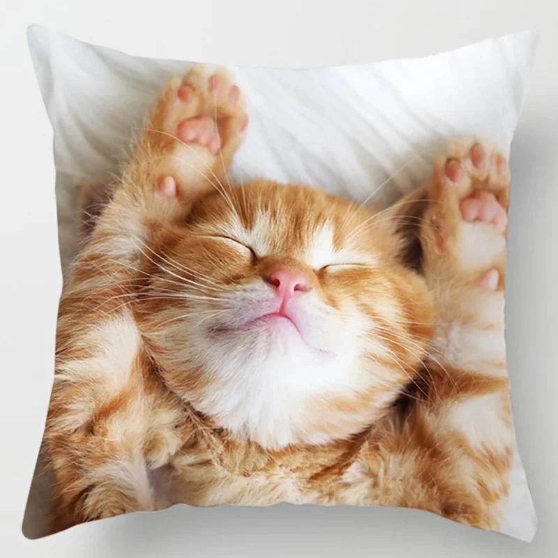 45X45CM Cat Collection Pillowcase Home and Office Decor Square Pillowcase