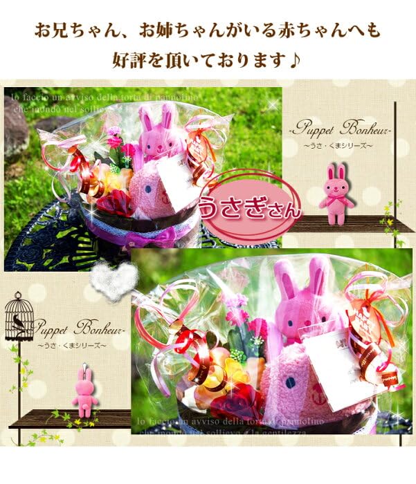 Bunny Diaper Perfect As a Baby Shower Gift Set for Boys and Plush Toy and Popular On One Tier Tape Two-tiered Cake, Girls, Pouch. Amazon. (Pampers