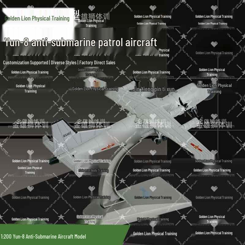 Golden Lion Y-8 Anti-Submarine Aircraft Model