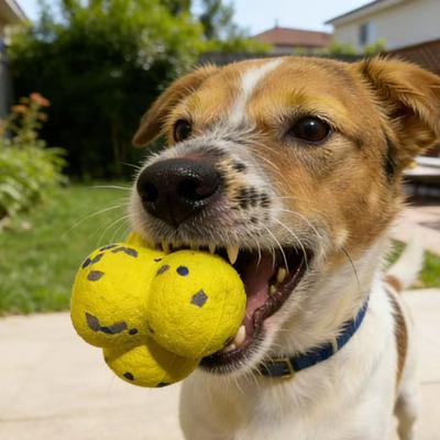 Perros – Juguetes para perros