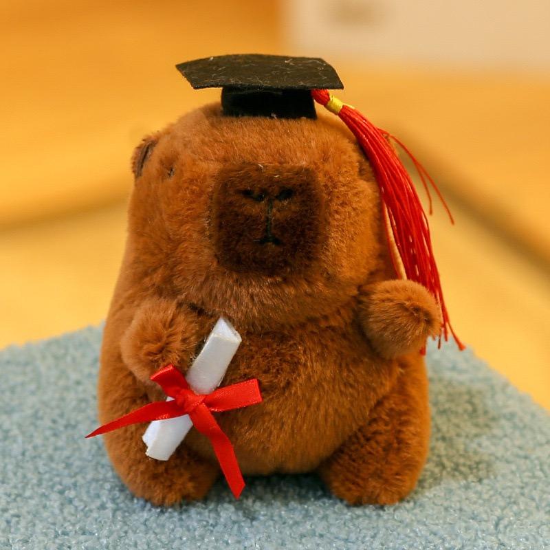 Doctor Capybara Pendant Dr. Capibala Plush Keychain Students Graduation Present Backpack Hanging Ornament Bag Car Animation Keyring