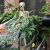 Scheletro Flessibile per Oggetti di Scena Film Halloween Decorazione, 3 Piedi Grandezza Naturale Scheletro Umano Intero, Decorazione Realistica Modellabile Festa Festiva con Mobile