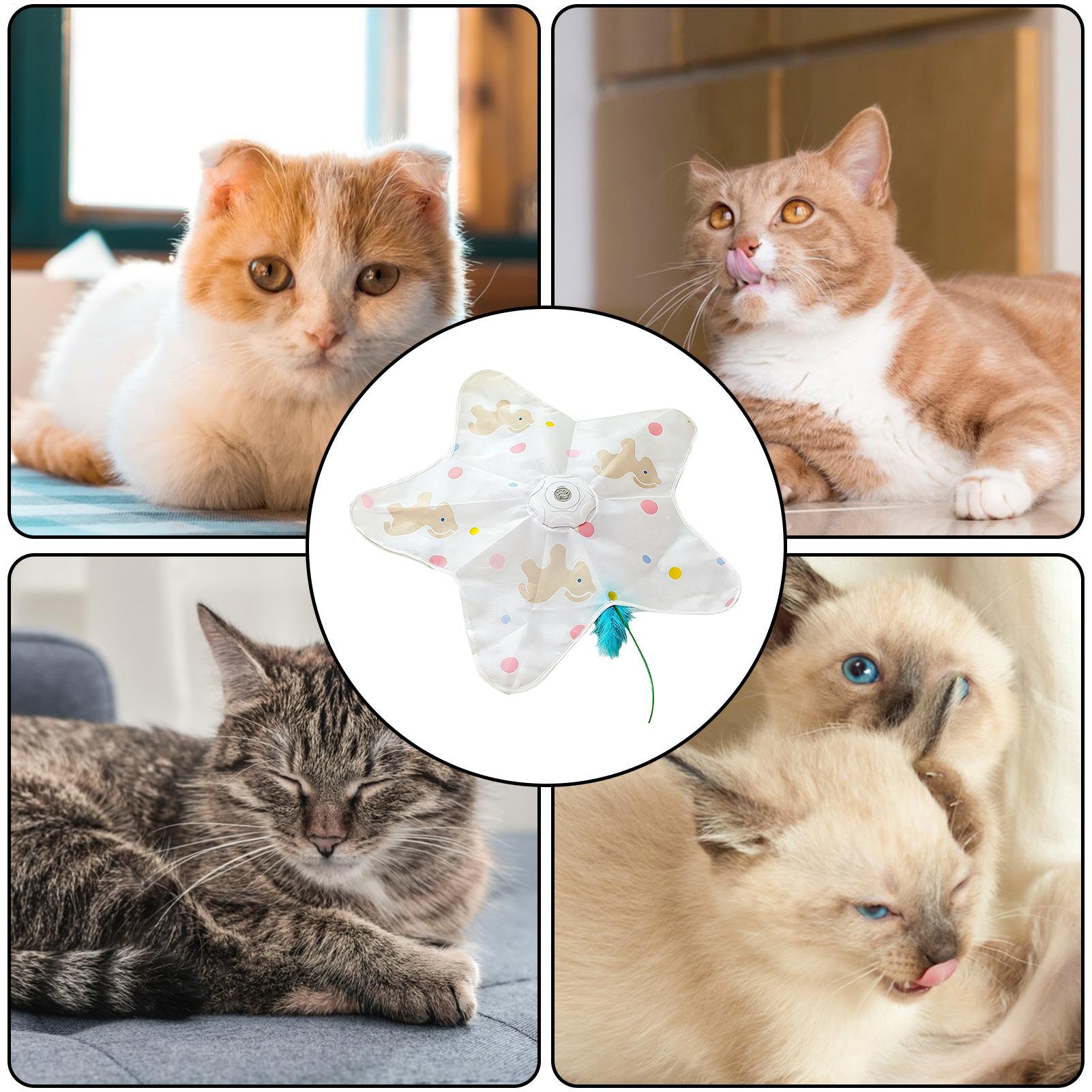 

Indoor Cat Toy Interactive Smart Motion Sensor 3 Modes Cats Enrichment Game For Small Medium Large Kitten Indoor Yards Porches China Mainland