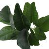 Traveler's Banana Leaf Artificial Plant for Living Room Decor