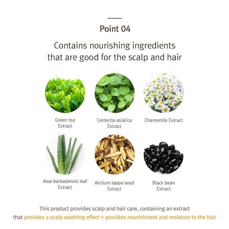 RiRe - Quick Hair Cushion - 2 Colors