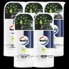 Walch Tea Tree Essential Oil Shower Gel