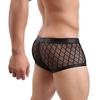 Men Transparent Boxers Shorts Sexy Hot Erotic U Convex Underpants Trousers Mesh