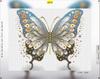 Haft diamentowy z ramą mozaika 5d 30x40 obraz motyl diamond painting ohart!