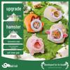 Produse pentru animale – Rozătoare