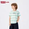 Levi's Boys' Striped Short-Sleeve T-Shirt