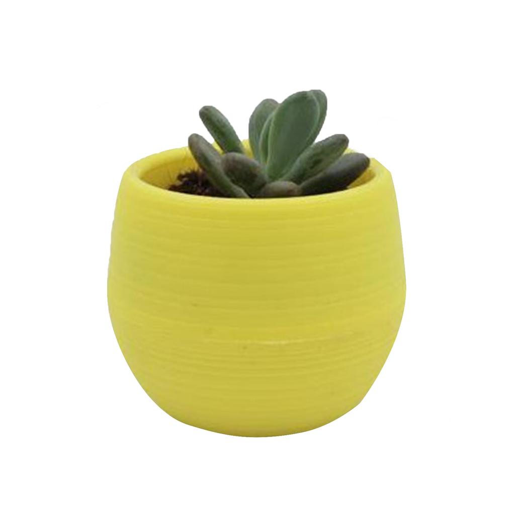 Succulent Pot Mini Seedling Flower Container Plastic Flower Pot for Garden Courtyard BalconyYellow
