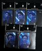 [USED] BTS Transportation Card Tmoney