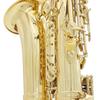 Brass Eb Alto Saxophone Sax Lacquered Gold Woodwind Instrument with Carry Case Gloves Cleaning Cloth Brush Sax Strap