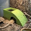 Plastic Reptile Hideout Cave Non-slip With Moss Tray Cave Hiding Nest Water Dispenser Crawler Climbing Platform