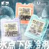 Iris Ohyama Subzero Ice Pack Ultra Low Temperature Type M