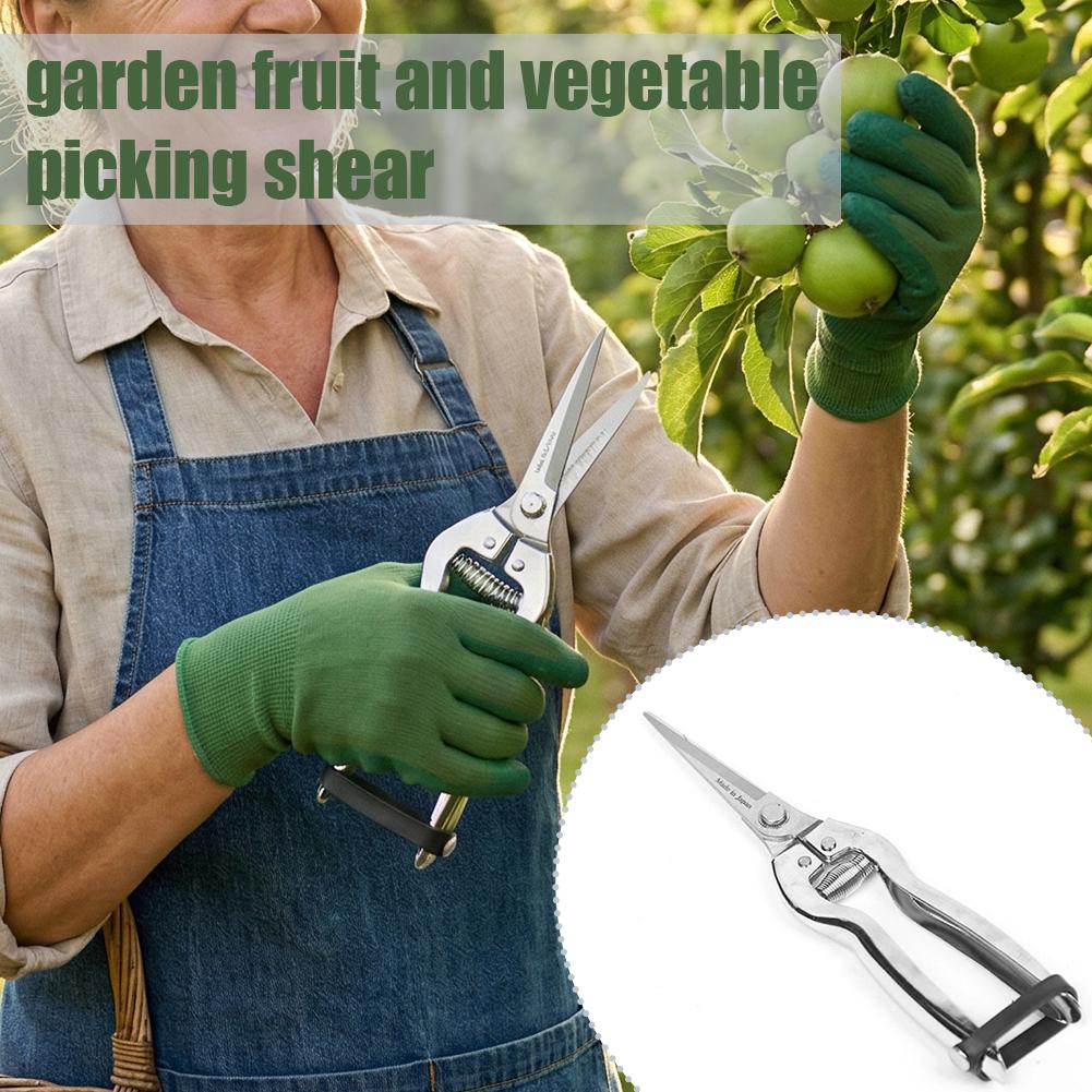 Stainless Steel Pruning Shears Professional Garden Scissors for Fruit Picking Bonsai Trimming & Plant Care Sharp Hand Pruners