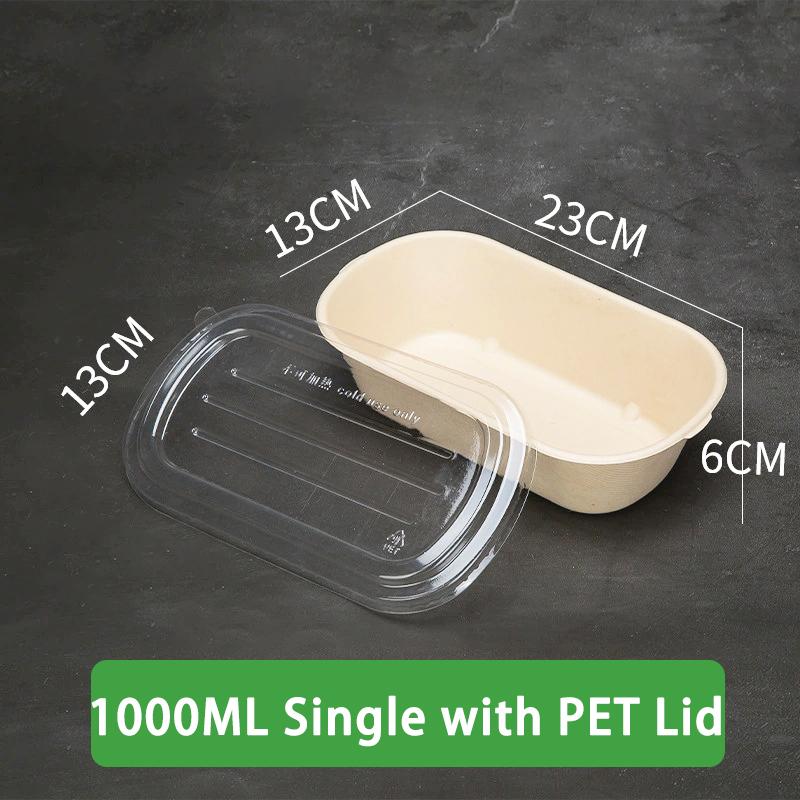 10/50 Stück Ovale Bagasse-Boxen aus Zuckerrohr Umweltfreundliche biologisch abbaubare Lebensmittelbehälter mit PET-Deckel