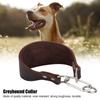 Küçük Köpek Greyhound Whippet İçin Perçinli Sabitlemeli Dayanıklı Taşınabilir Genişletilmiş Evcil Hayvan Tasması Kahverengi