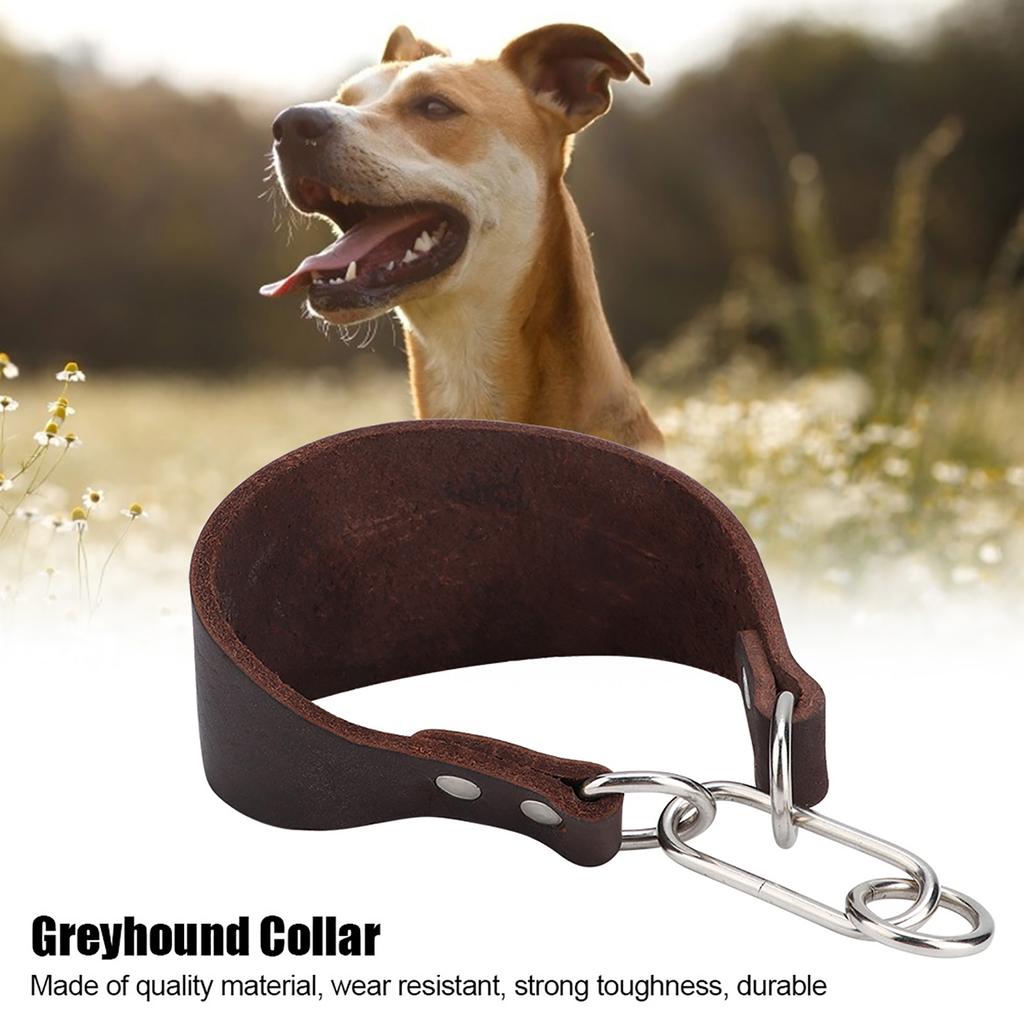 Küçük Köpek Greyhound Whippet İçin Perçinli Sabitlemeli Dayanıklı Taşınabilir Genişletilmiş Evcil Hayvan Tasması Kahverengi