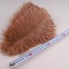 10Pcs 30-35cm Ostrich Feathers for Crafts Wedding Decoration 12-14" Handicraft Accessories Table Centerpieces Carnival Plumas