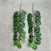 Simulation Spring Rain Leaves 1.8m Plastic Plants Vines Cafe Balcony Decoration Artificial Turtle Back Leaf Green Plant Vine