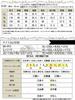 Gold Japan Plus Size Long Fleece Women's Dress, Sleeve, Two-Tone Hoodie, Lining, Anti-Static, Stretch, Fall/Winter, Charcoal, 4L, plan-460014