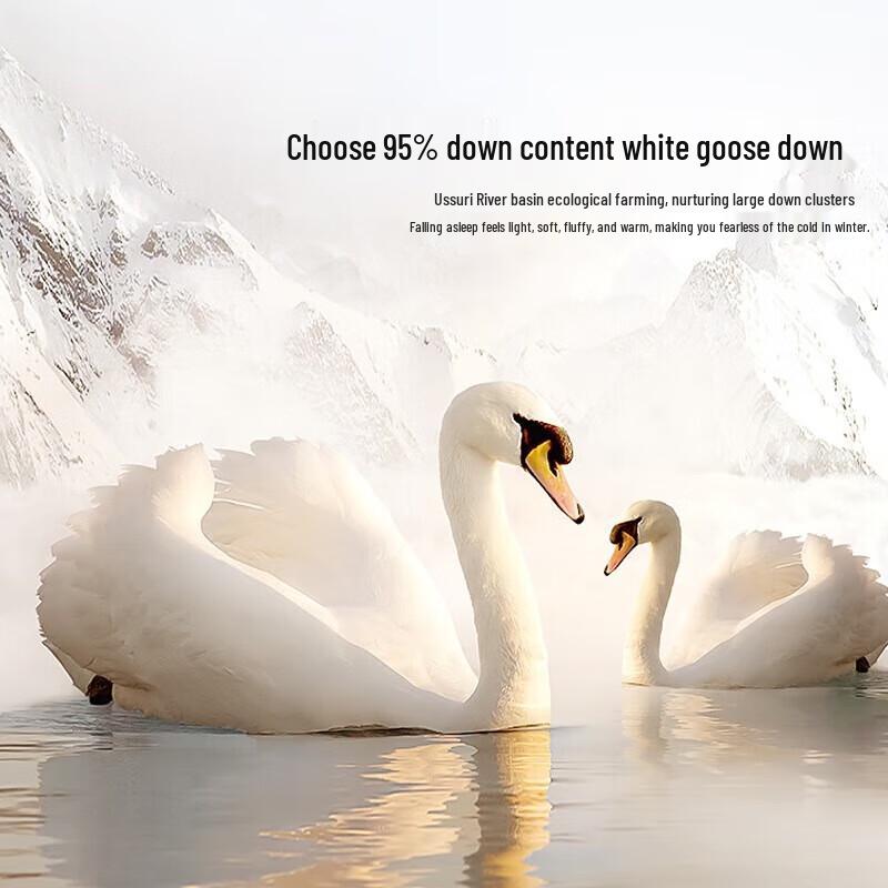 MERCURY Antibacterial White Goose Down Winter Quilt