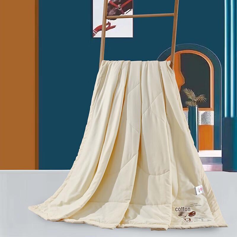 

Grace Selected Cotton Dot Rejuvenating Fiber Quilt